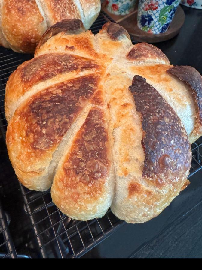 Sourdough Seashell